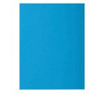 Chemise standard 210 g Exacompta Rock"s 24 x 32 cm - Paquet de 10