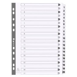 Intercalaire A4 carte blanc Exacompta 20 onglets numériques - 1 jeu