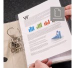 Lamineerhoesjes geperforeerd Fellowes A4 2 x 80 µ glanzend - Doos van 100