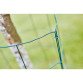 Staples plastic-coated green Rapid VR22, box of 1100