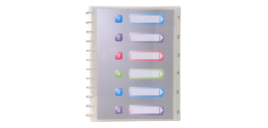 Protège-documents amovible Exacompta Crystal polypropylène A4 30 pochettes - 60 vues