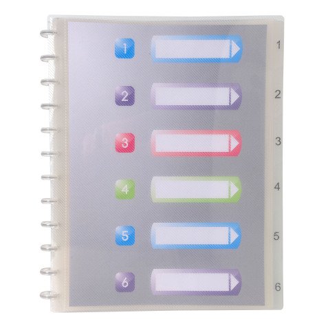 Protège-documents amovible Exacompta Crystal polypropylène A4 30 pochettes - 60 vues