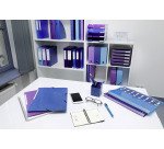 Classeur 2 anneaux plastifié Exacompta Iderama A4 maxi - Dos 4 cm couleurs assorties