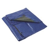 Bâche polyéthylène armée L 5 x l 4 m, vert/bleu