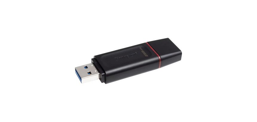 Memoria USB Kingston Datatraveler Exodia 3.2 Gen 1 256B