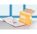 Boîte archives carton Esselte Vivida - Dos 8 cm - Coloris assortis - Lot de 10