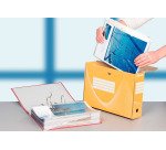 Boîte archives carton Esselte Vivida - Dos 8 cm - Coloris assortis - Lot de 10