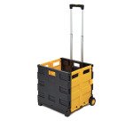 Carrello manuale Remco TRHA170 pieghevole in alluminio / PVC, portata 35 kg