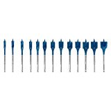 <div>Set of 13 flat wood drill bits by Bosch EXPERT Self Cut Speed</div>