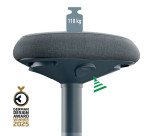 Tabouret ergonomique assis - Gris - Leitz Ergo