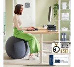 Ballon d'assise ergonomique anti-basculement - Gris - Leitz Ergo