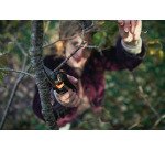 Sécateur à crémaillère à poignée tournante Powergear P961 Fiskars