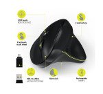 Souris sans fil ergonomique Port rechargeable