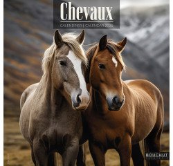 Flexible calendar illustrated horse 30 x 30 cm