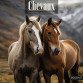 Soepele kalender geïllustreerd paard, 30 x 30 cm