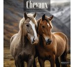 Calendrier souple illustré cheval 30 x 30 cm