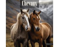 Soepele kalender geïllustreerd paard, 30 x 30 cm