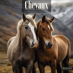Calendrier souple illustré cheval 30 x 30 cm