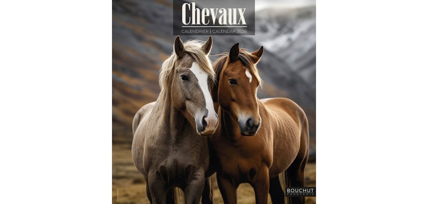 Calendrier souple illustré cheval 30 x 30 cm