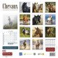 Calendrier souple illustré cheval 30 x 30 cm