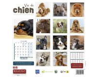 Calendrier souple illustré Vie de Chien 30 x 30 cm