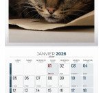 Calendrier souple illustré Chat 30 x 30 cm