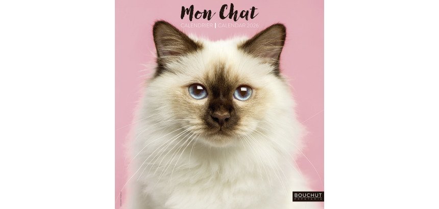 Calendrier souple illustré Chat 30 x 30 cm