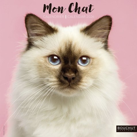 Calendrier souple illustré Chat 30 x 30 cm