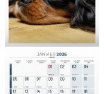 Calendrier souple illustré Vie de Chien 30 x 30 cm