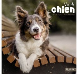 Soft illustrated Dog Life Calendar 30 x 30 cm