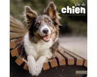 Soft illustrated Dog Life Calendar 30 x 30 cm
