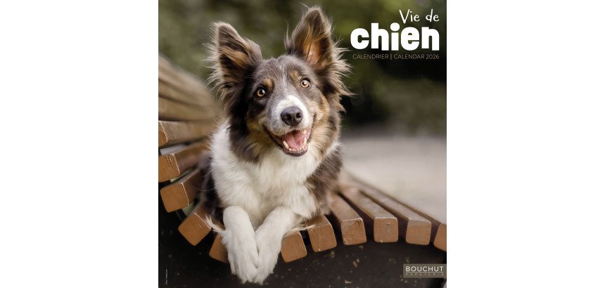 Calendrier souple illustré Vie de Chien 30 x 30 cm
