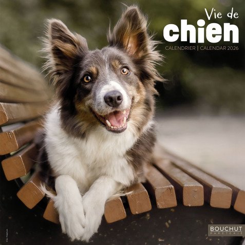 Calendrier souple illustré Vie de Chien 30 x 30 cm