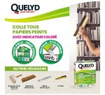 Quelyd colle tous papiers peints 300g