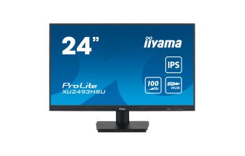 Ecran iiyama