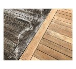 Net-Trol dégriseur détachant bidon 1 L