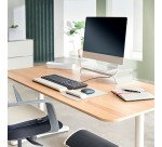 Tapis de souris Leitz Ergo avec repose-poignet réglable