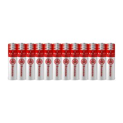 Alkaline battery Bruneau LR06 AA - Pack of 48