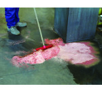 Polvere assorbente vegetale universale ignifuga Multisorb-C Carvel DUS100, 6,5 kg