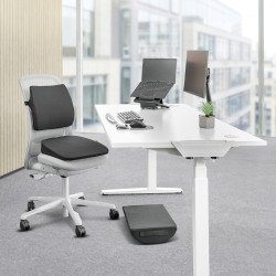 En_fellowes cuscino lombare comfort