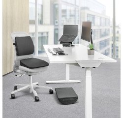 En_fellowes cuscino lombare comfort