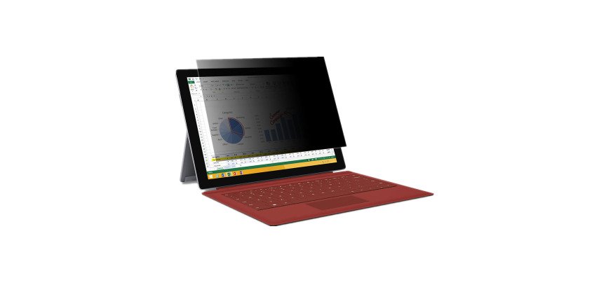 Filtre anti-reflets et de confidentialité pour écran 17,3"