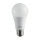 Lampadine