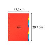 Intercalaire A4 en carte lustrée Exacompta 12 onglets neutres - 1 jeu