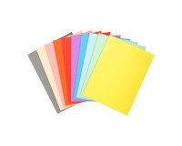 Standaard map 220 g Exacompta Forever® 24 x 32 cm assortiment - pak van 100 stuks