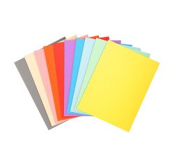 Chemise standard 210 g Exacompta Forever 24 x 32 cm - Paquet de 100