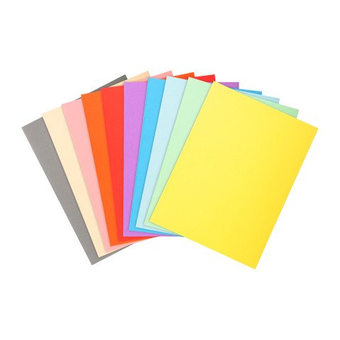 Subcarpetas Exacompta Forever® 220 g 24 x 32 cm colores surtidos - Paquete de 100