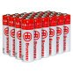 Alkaline battery Bruneau LR06 AA - Pack of 24