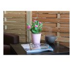 Diffuseur huile essentielle Jasmine