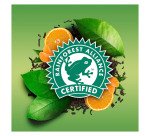 Thé vert mandarine-orange Lipton Exclusive Selection - Boîte de 25 sachets pyramides